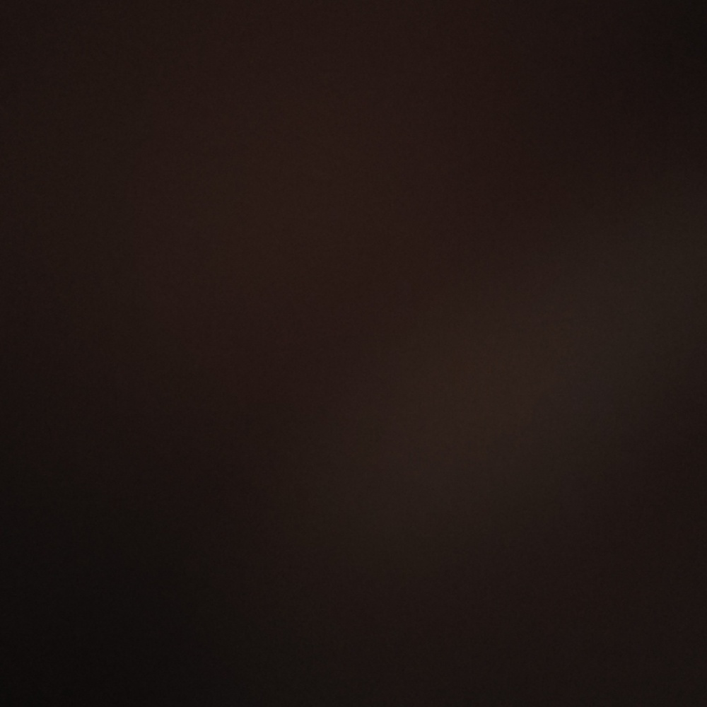 Meet your Posher, Lillian